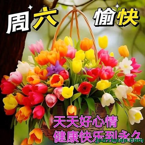 mmexport606c75ef677f829fbdc81bd2d197a852_1780087335645.jpeg