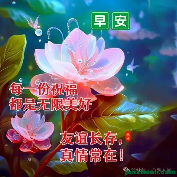 mmexportb70ae98e57d2f6def6d3cfc6a03f3e17_1780001943813.jpeg