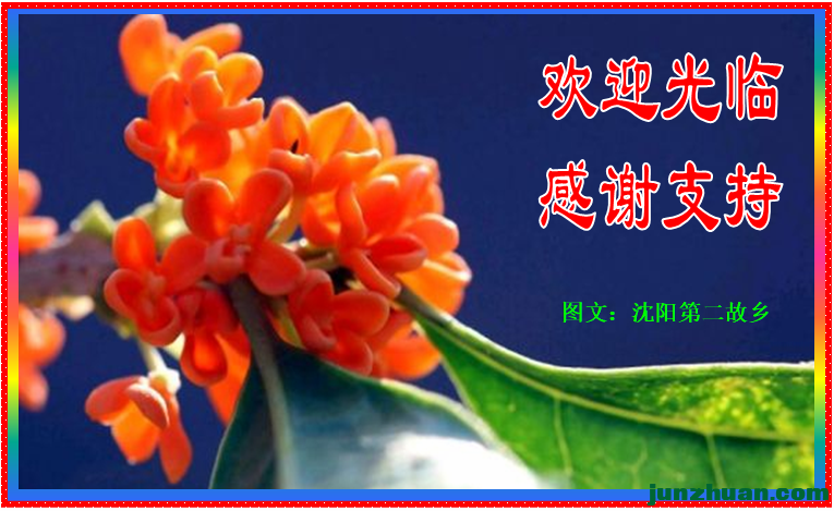 ����ѧ��ҩ��Ѫ֬��������͡�ܲ���ͣ��