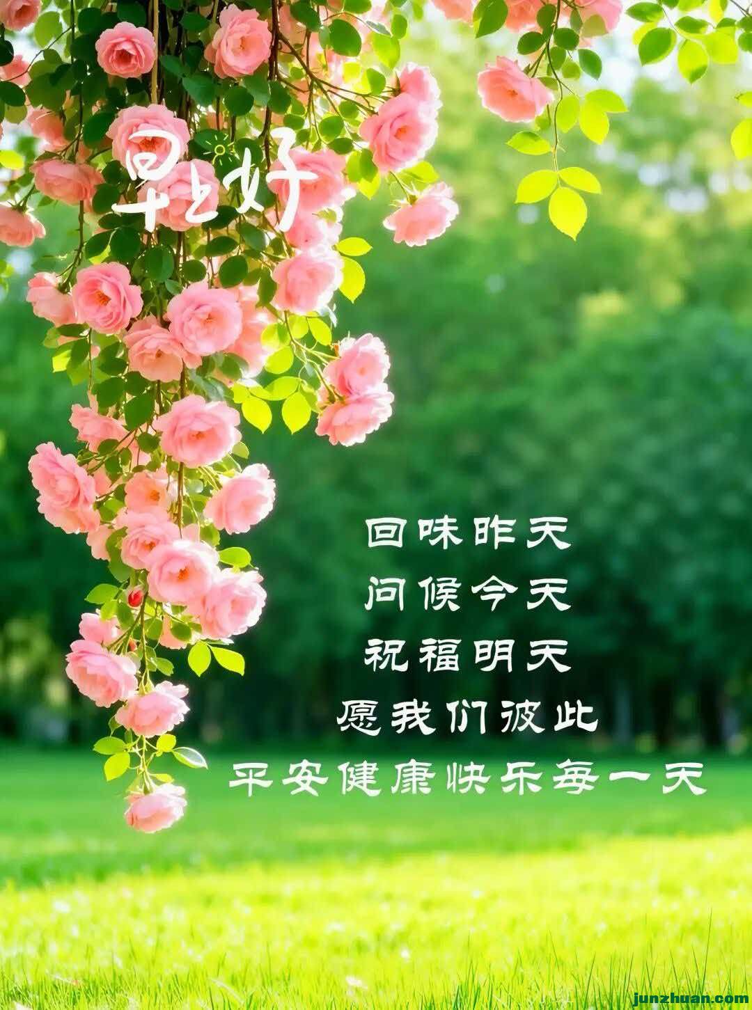 image_1780215359640.jpg