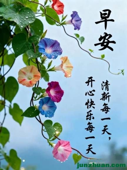 mmexport219ff21712e5ed56f07cb5378bb0d431_1780520175715.jpeg