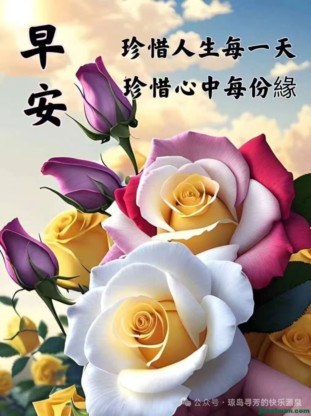 mmexport1780532878330.jpg