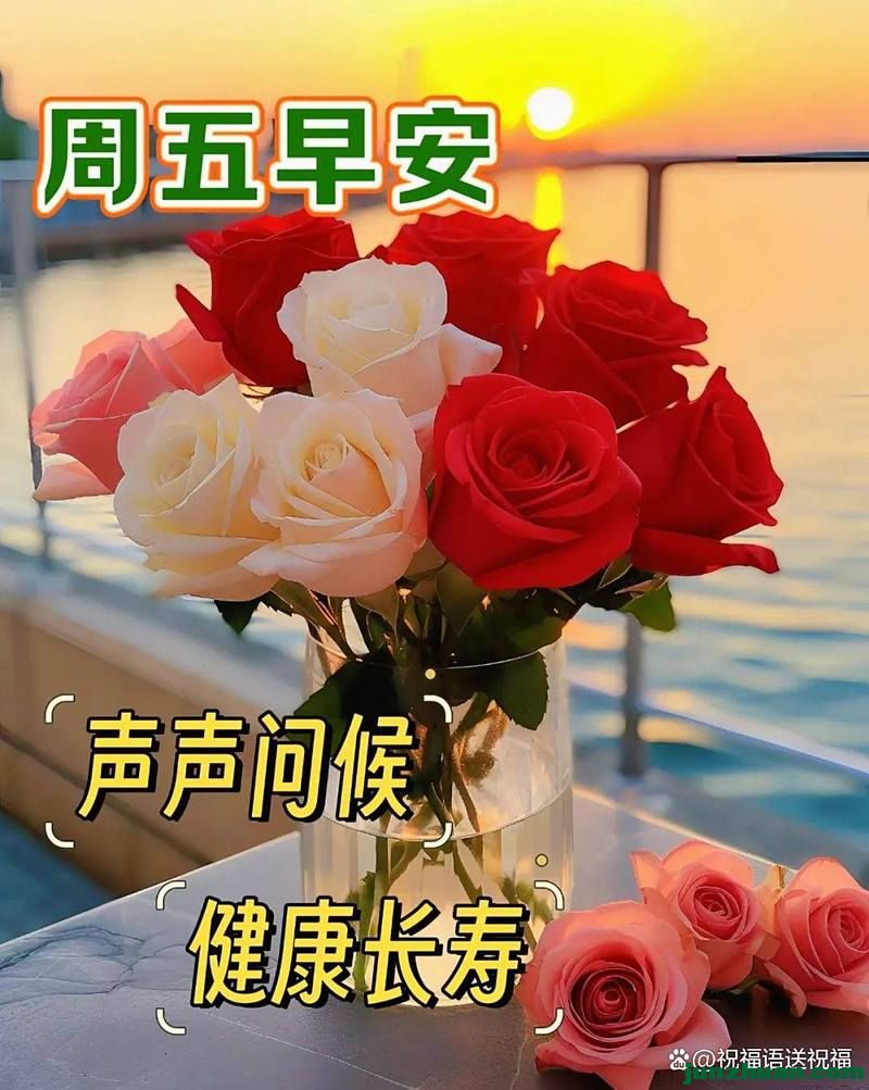 mmexportc151e996df6c9211446991f2775cebce_1780603839522.jpeg