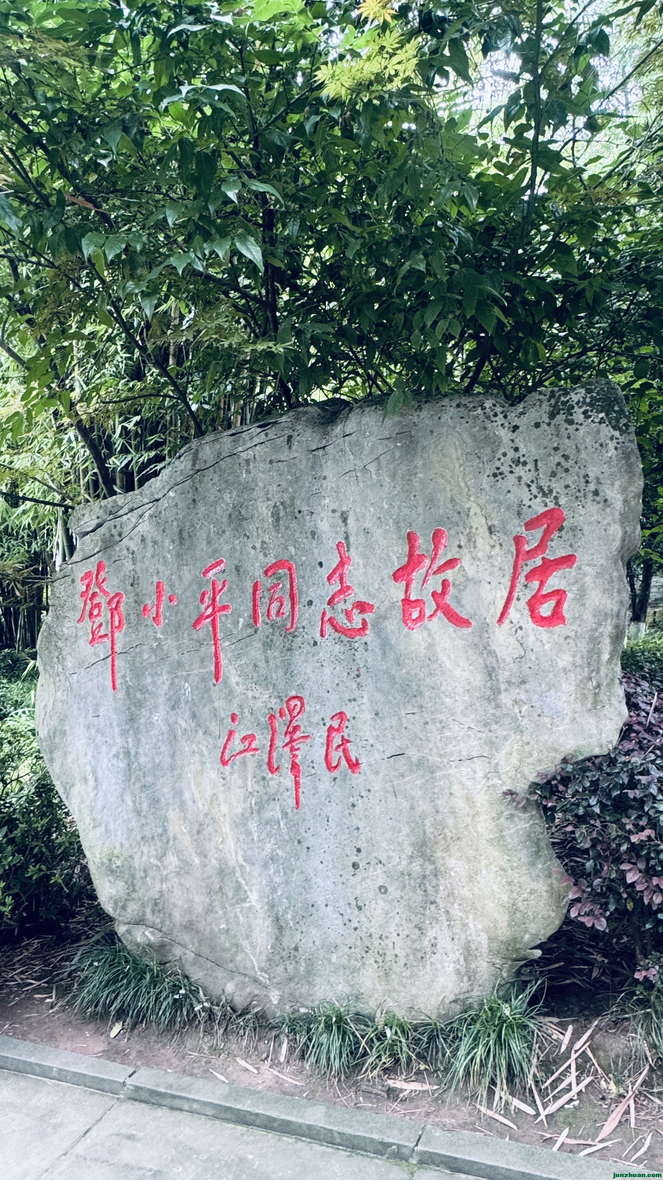 IMG_5412.jpeg
