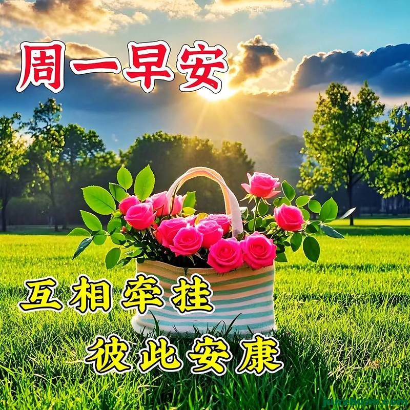 mmexport75b28e2a0fddca4c15707e27658f6bfb_1780864495274.jpeg