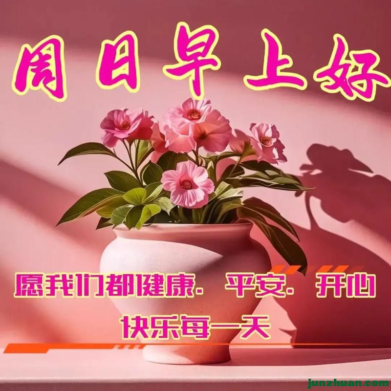 mmexportcef37441291f8dee1058fd10bbf4938f_1781382068431.jpeg