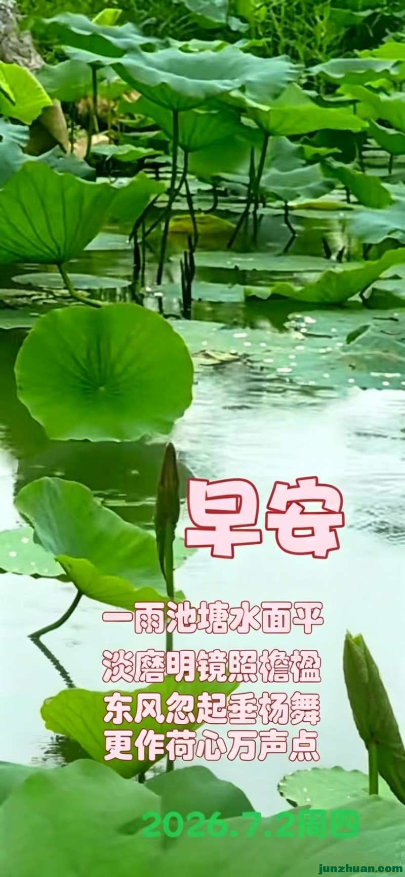 image_1782954121372.jpg