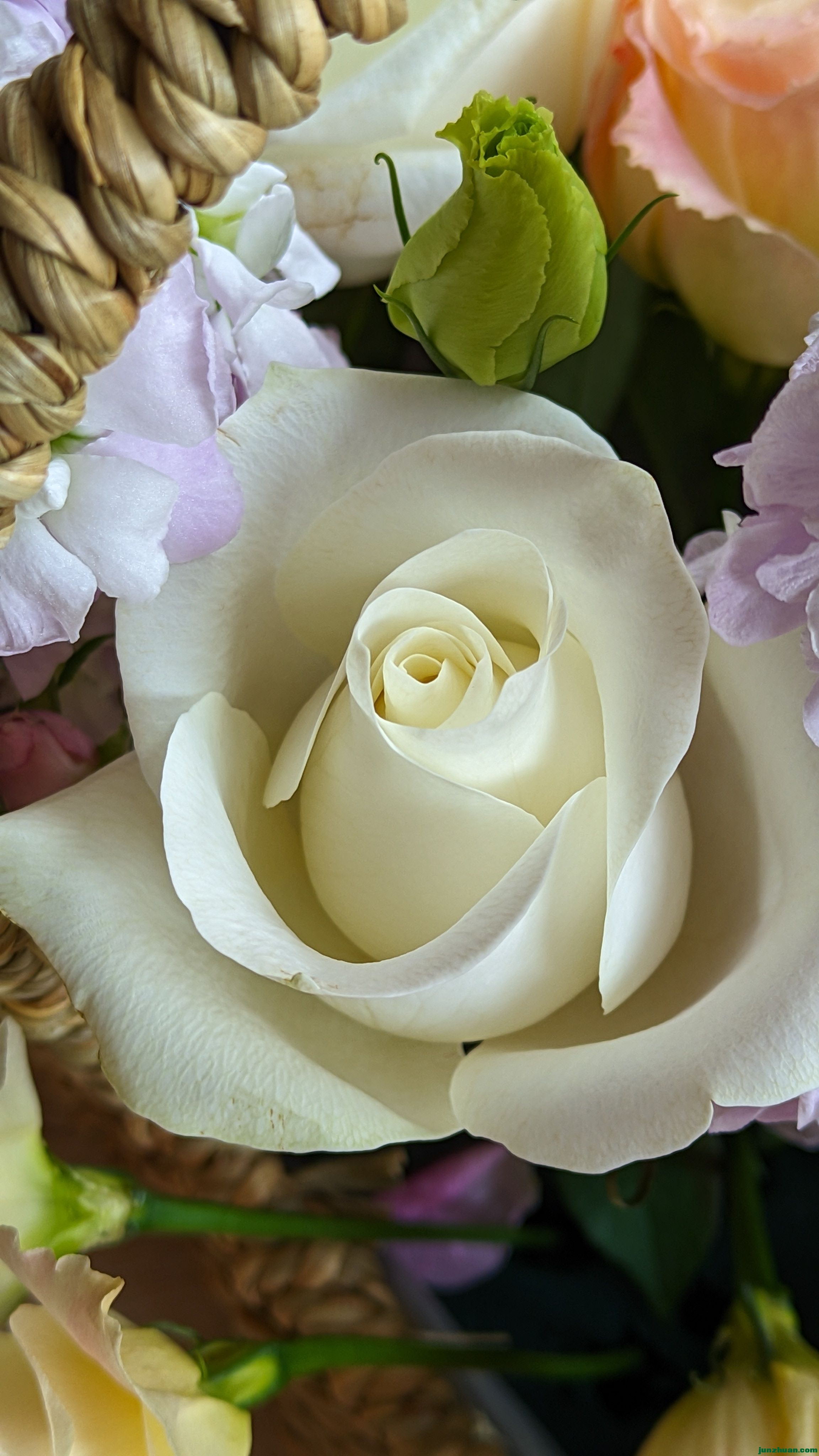 PXL_20260705_091816623.jpg
