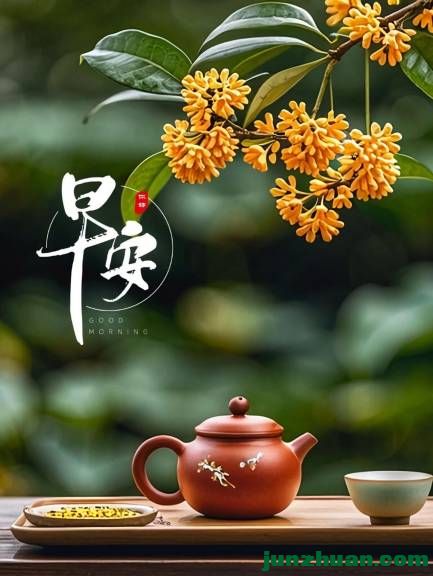 mmexport977a6e30bb0bfb2f700a1f32e81fbb8b_1783889918191.jpeg