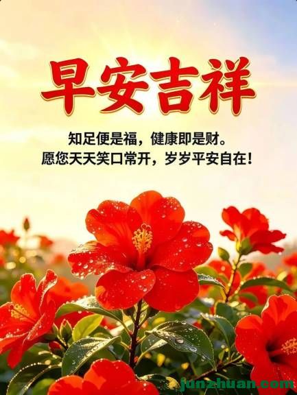 mmexportc45fff19ab0529d00da3c535e1200bfd_1784405574363.jpeg