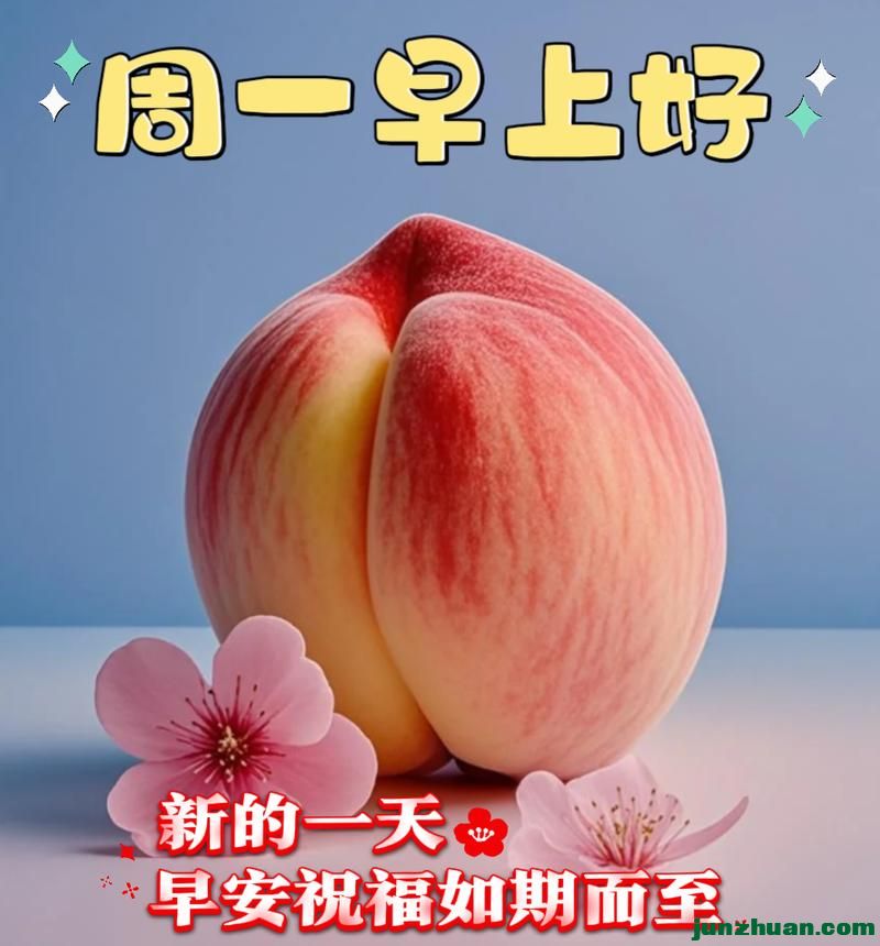 mmexport9a60443bdcfa40ad4c605cfae9c9ff03_1784493423339.jpeg
