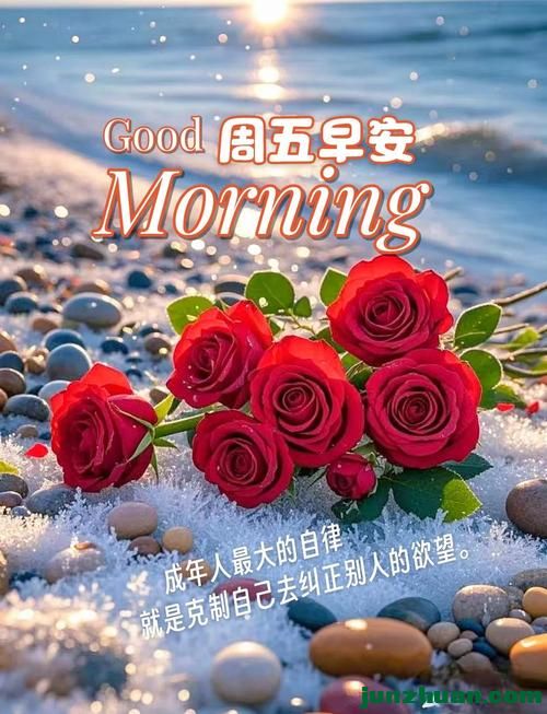 mmexportd9cec74aa74c607227f72ae7fca83bda_1784838737986.jpeg