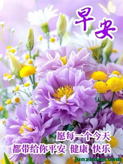 mmexport123a42eeaac6c4dcfc4d958ecd8df1a1_1784925312433.jpeg
