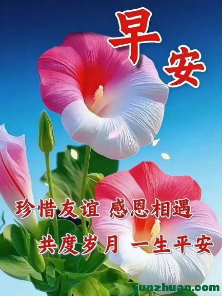 mmexport46c32c4a1132c804de60c775420d768e_1785272187299.jpeg