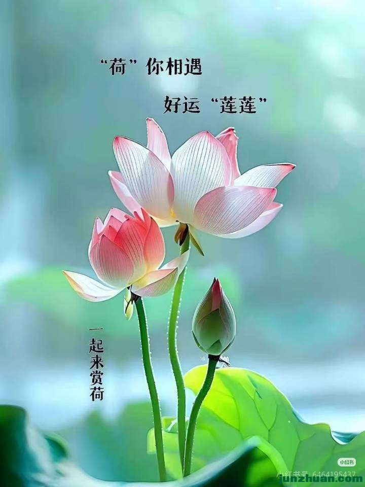 image_1785892138798.jpg