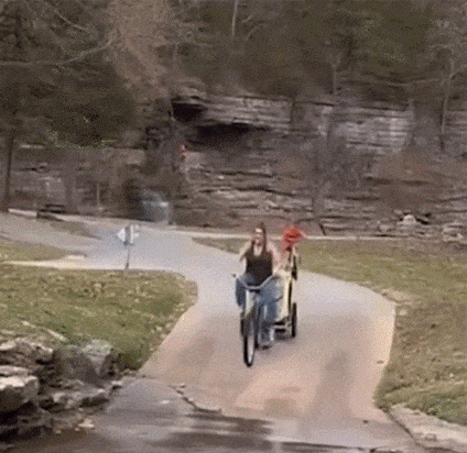 222.gif