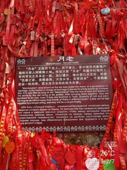 image_1787101046625.jpg
