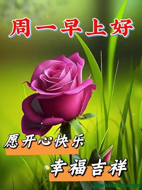 mmexport8264bf96d9d7a875a06144d906500444_1787518941893.jpeg