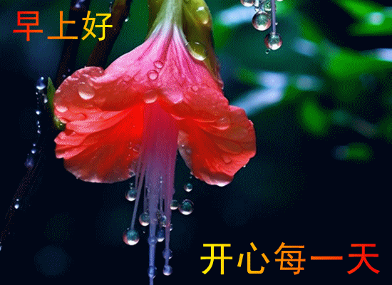 09.gif