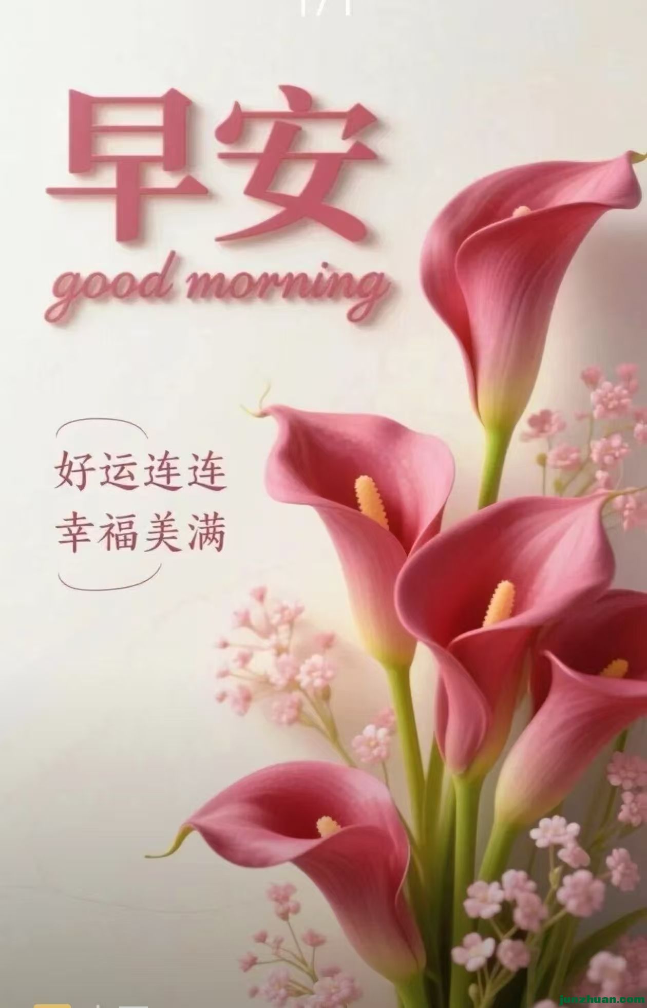 mmexport1787707329760.jpg