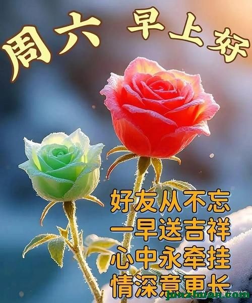 image_1787947205256.jpg