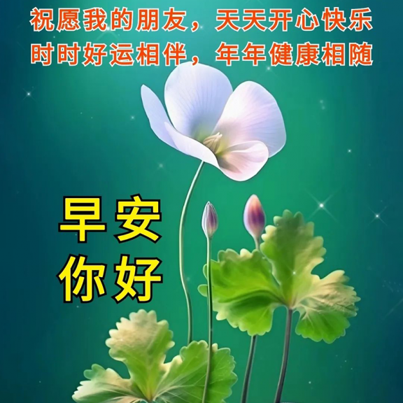 image_1787949520776.png