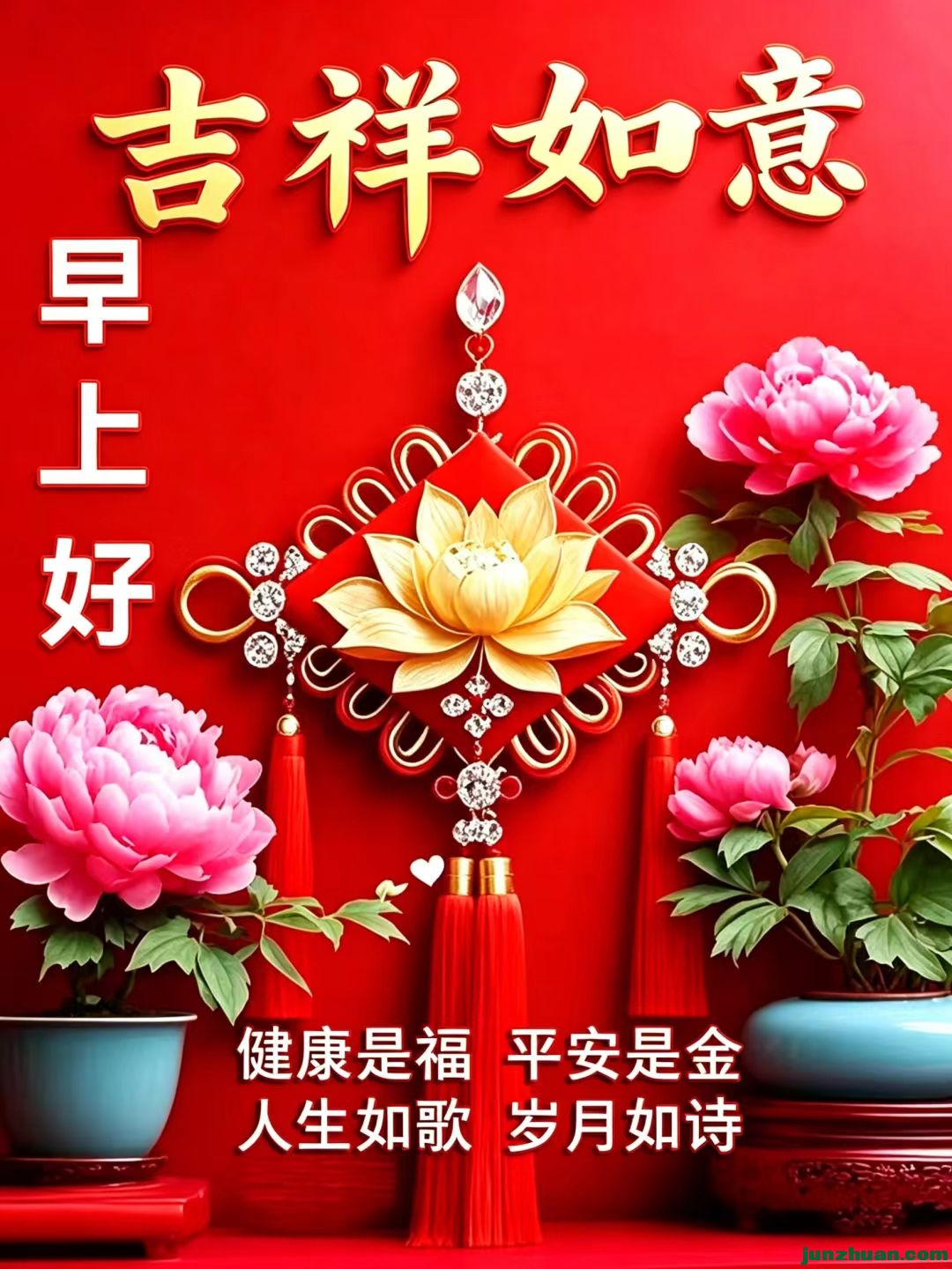 image_1788051876329.jpg