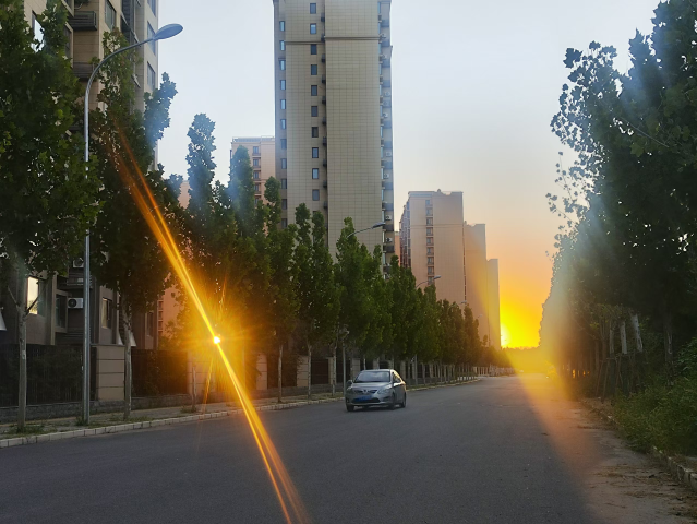 mmexport1788119551467.jpg