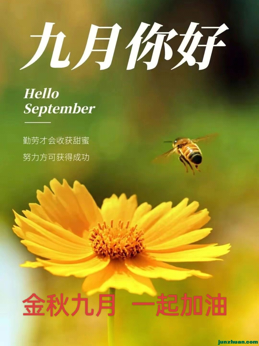 mmexport54b1ba79e812511b666e3862f03d6c26_1788292485593.jpeg