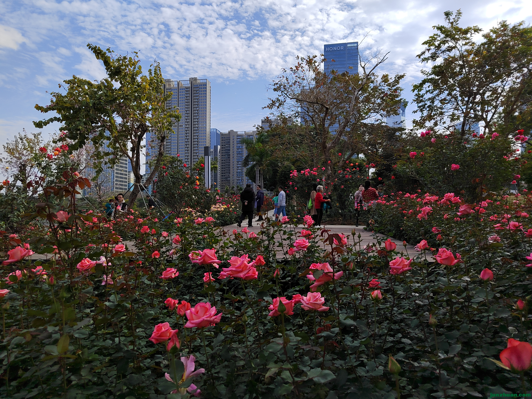 IMG_20220206_142510.jpg