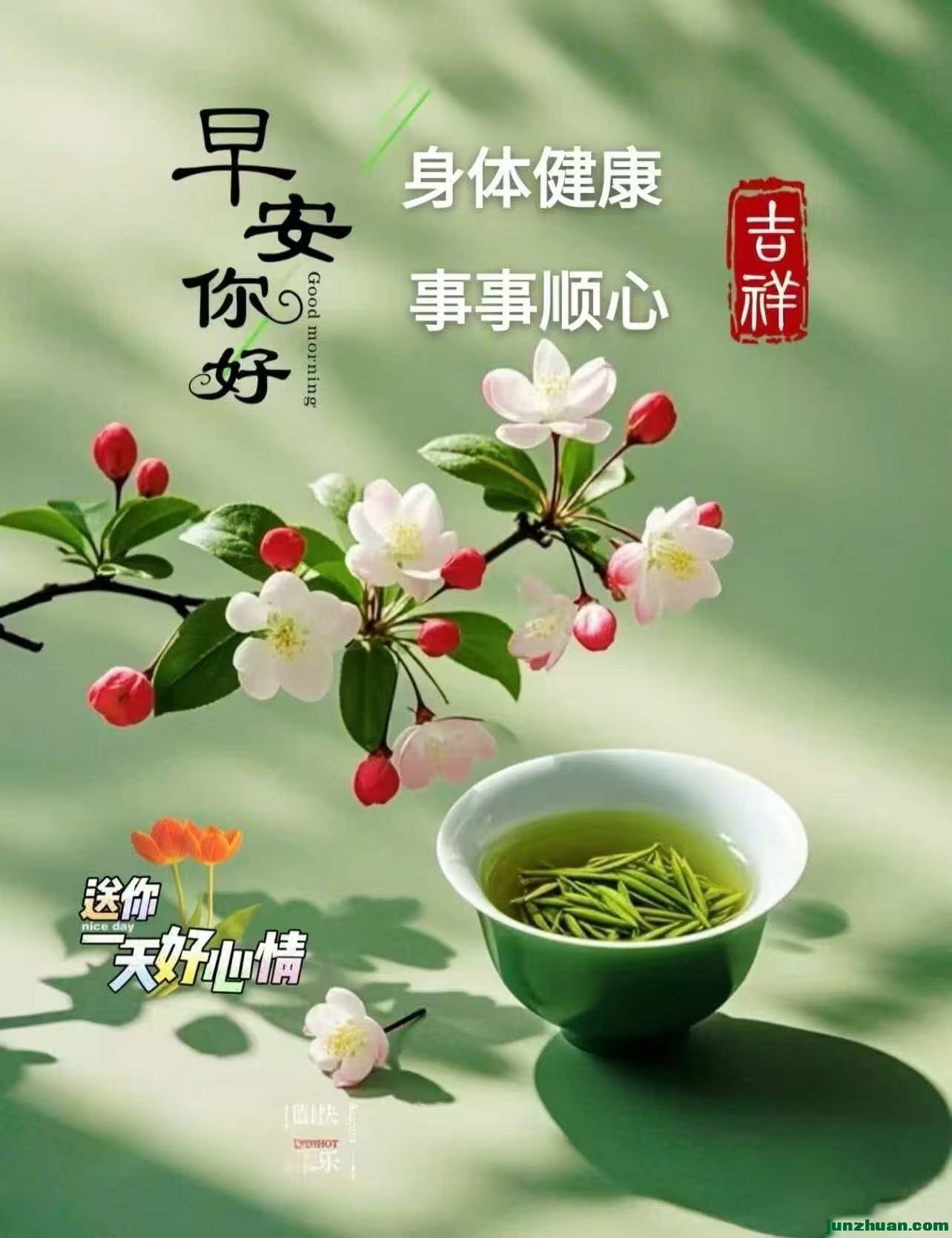 image_1789781342390.jpg