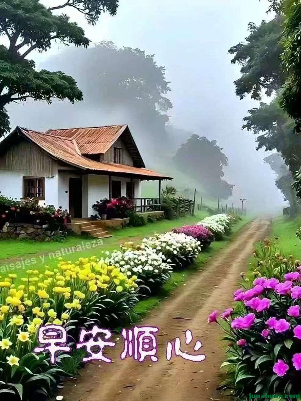 image_1789862875009.jpg