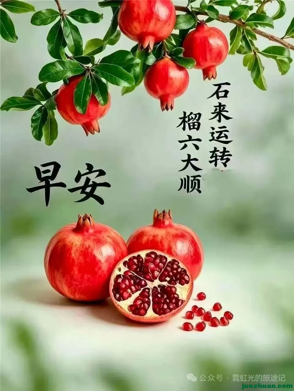 mmexport1789949612371.jpg