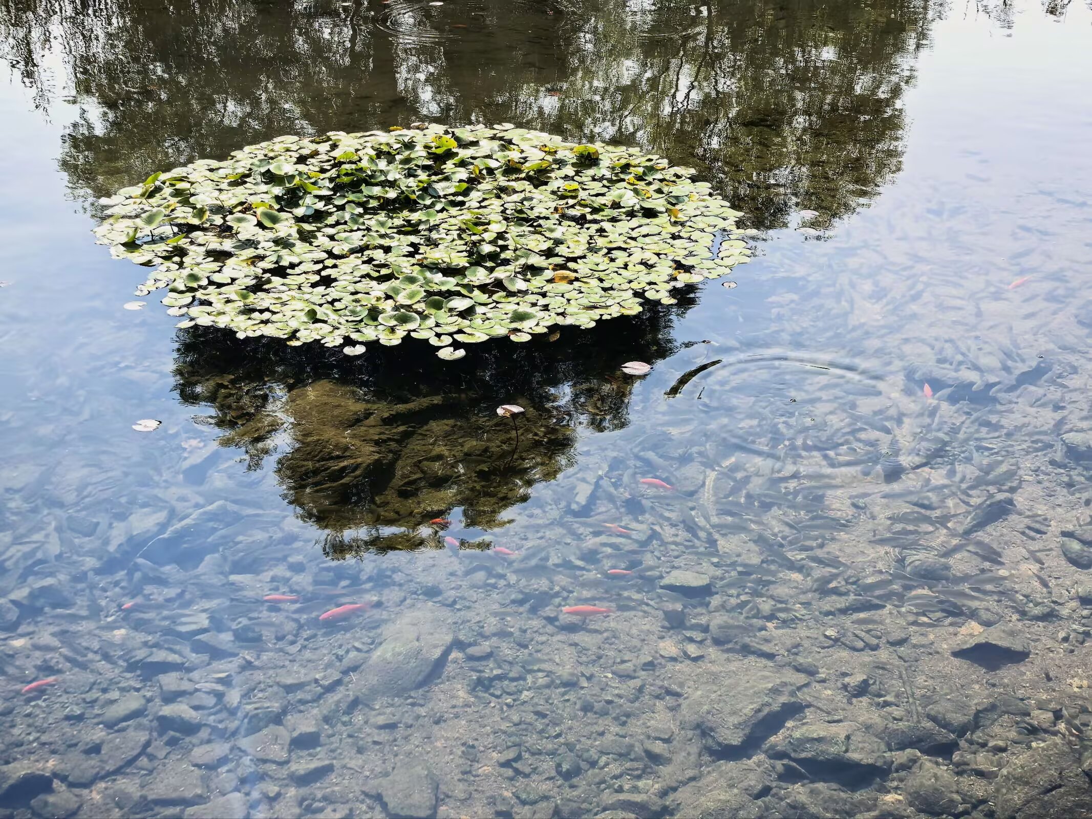 Image_1790084420968_901.jpg