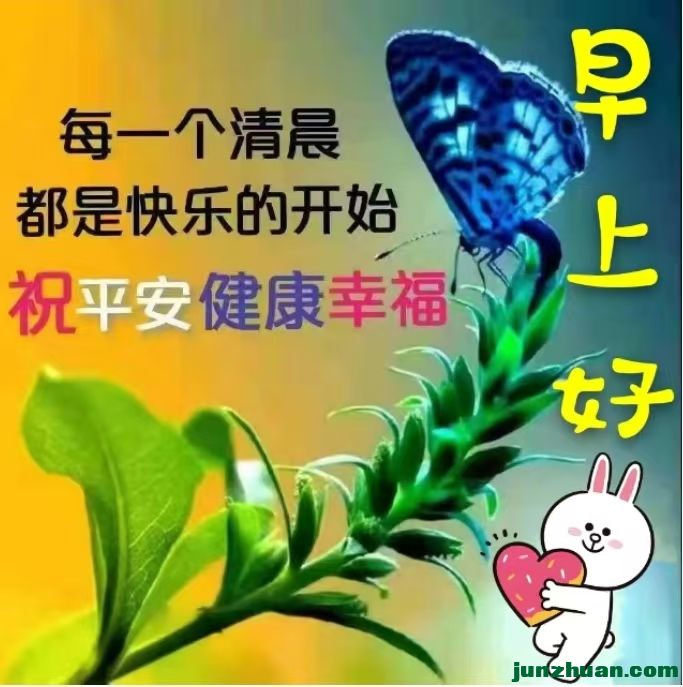image_1790467972107.jpg