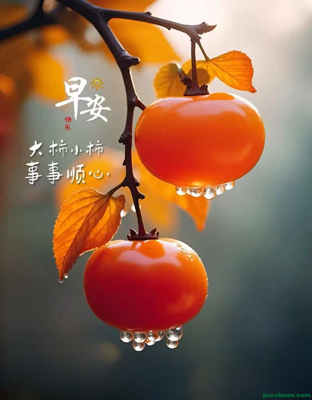 image_1791590266825.jpg
