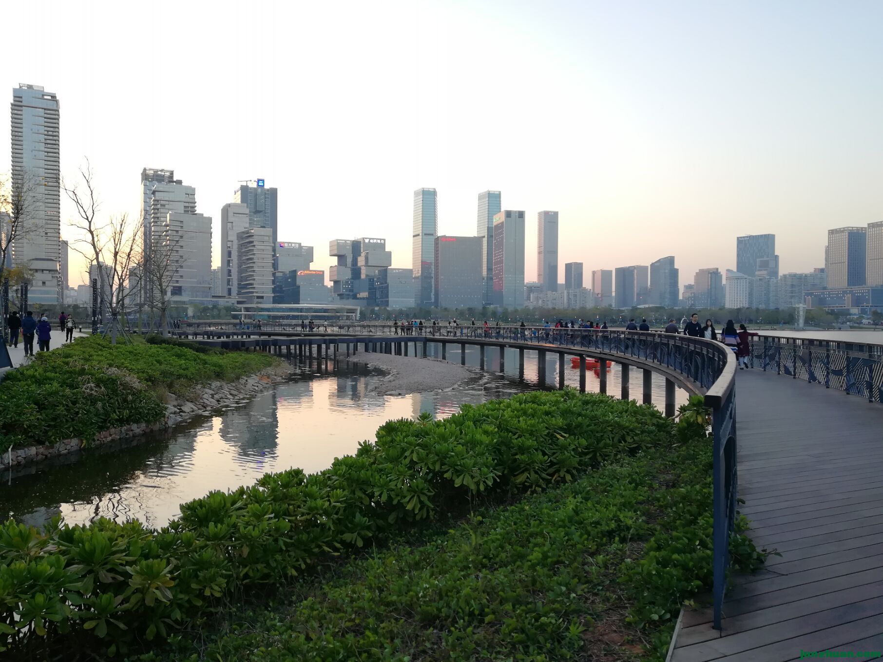 image_1791703338172.jpg