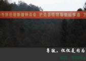 ֮䡭